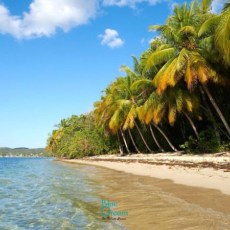 Residence Kawann Plage & Piscine - Toumalacai 249 Folle Anse Exterior photo
